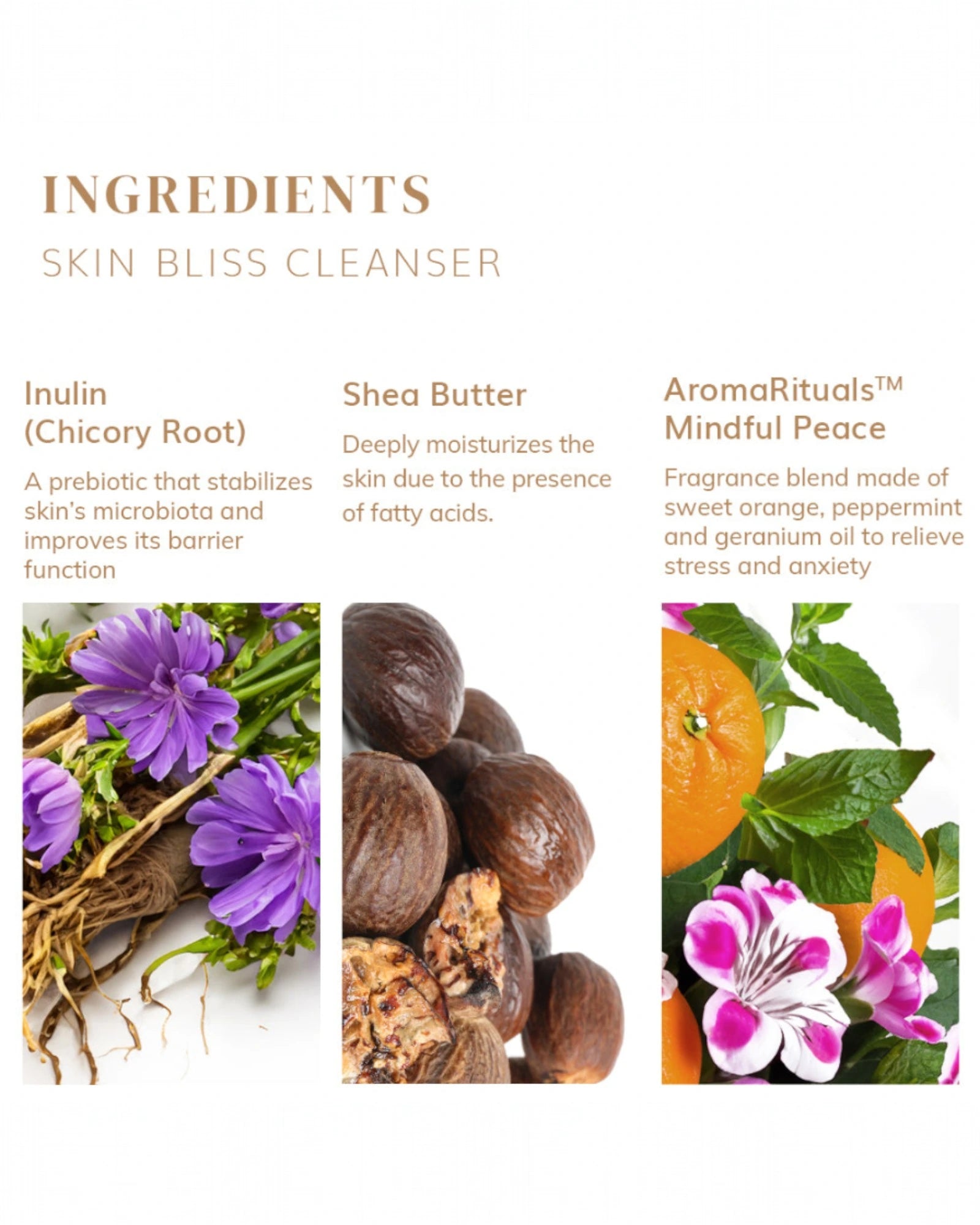 Skin Bliss Cleanser