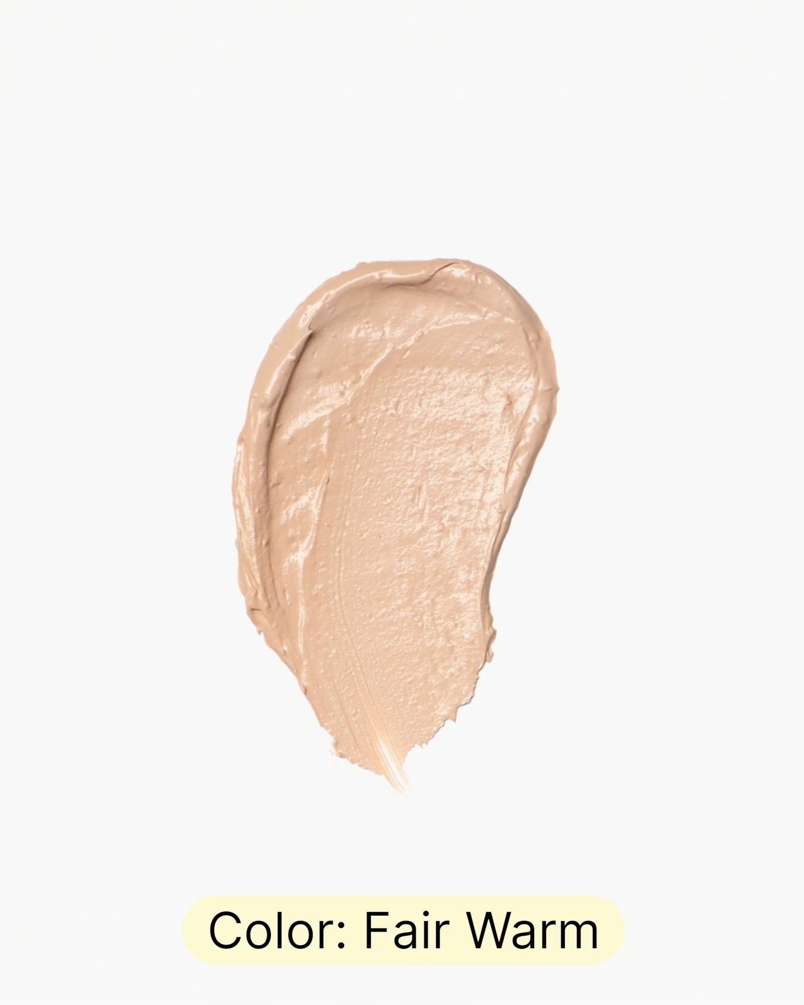 Fungdation - Mushroom Foundation