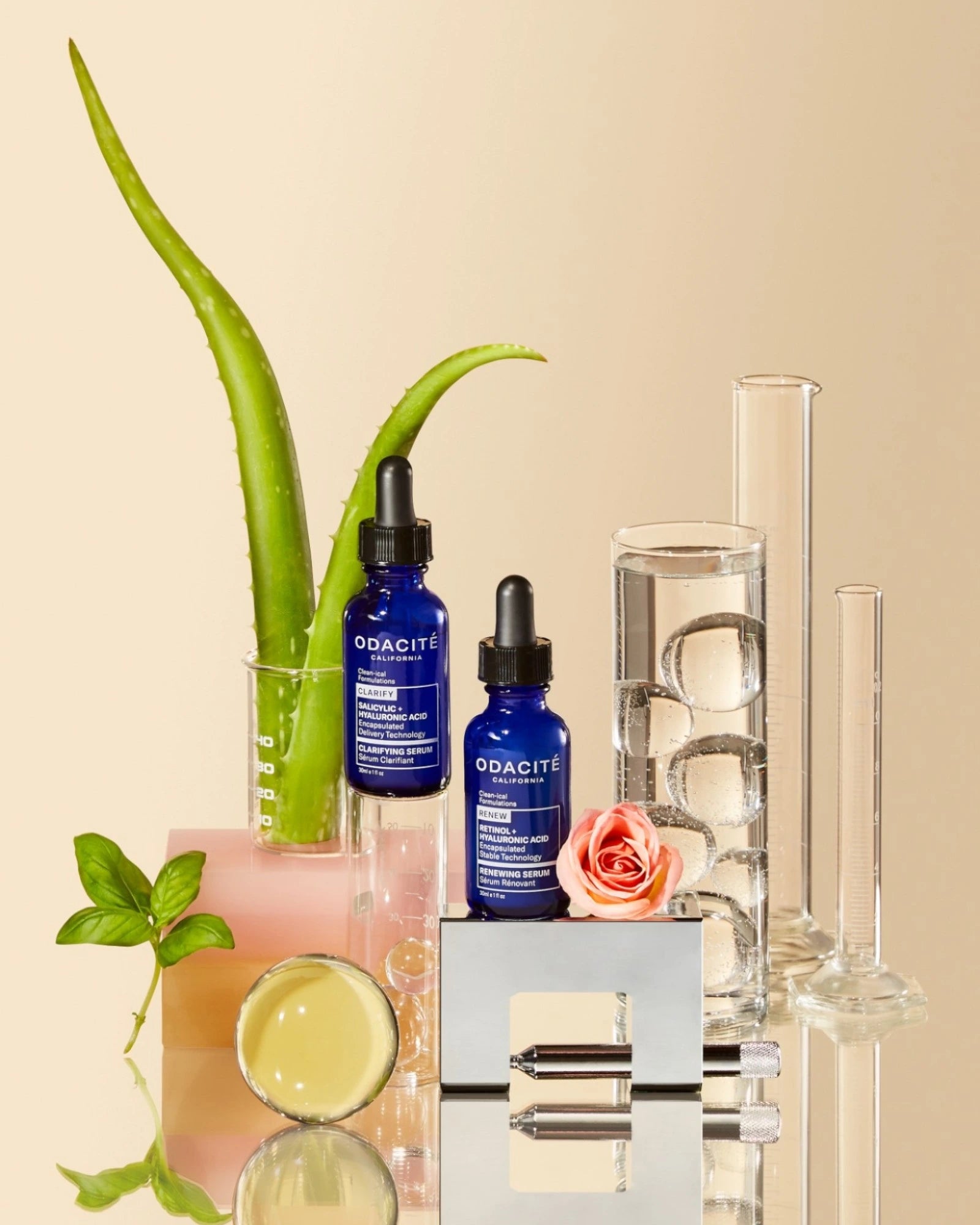 Clean-ical 更新精华