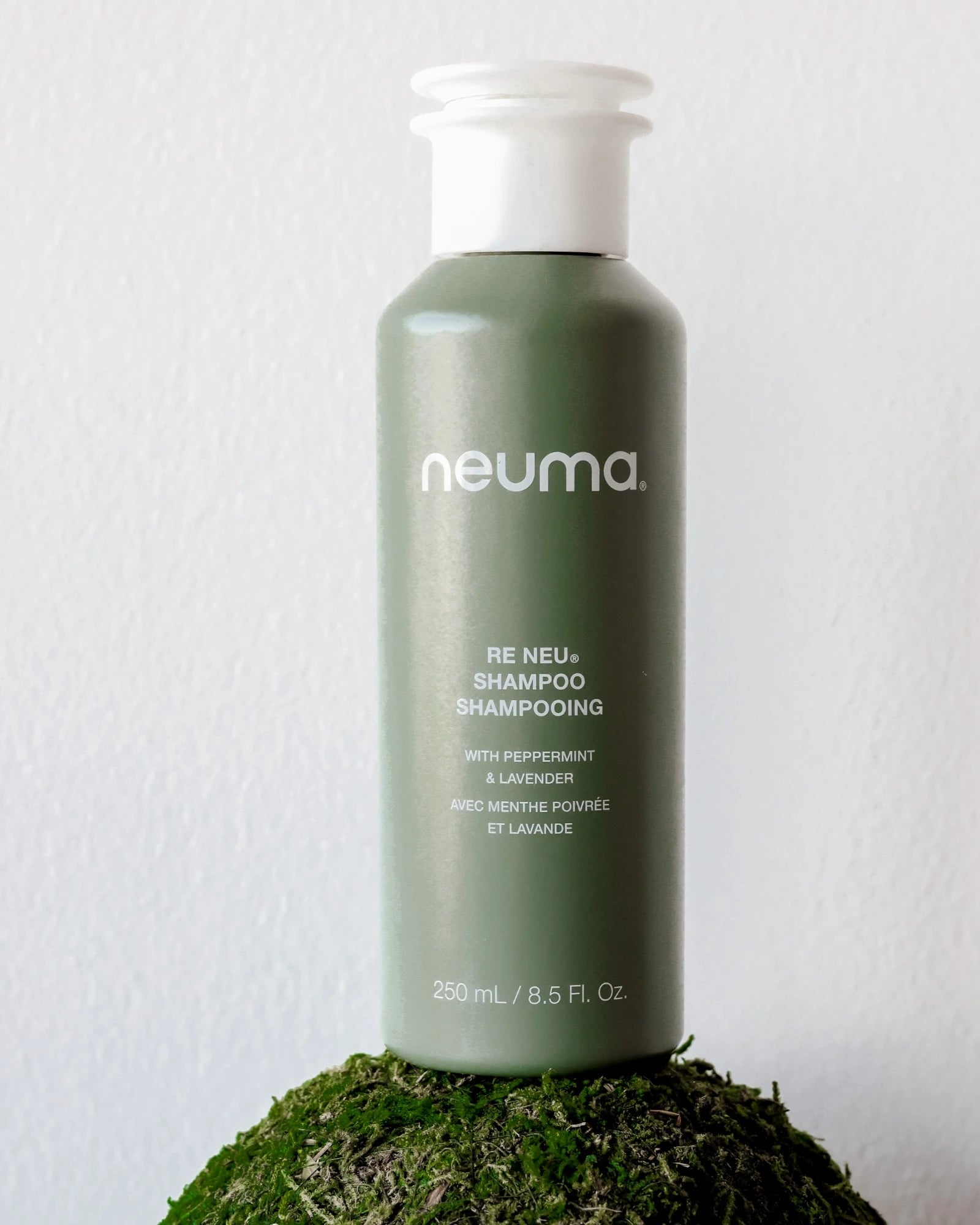 RE NEU® 净化洗发水