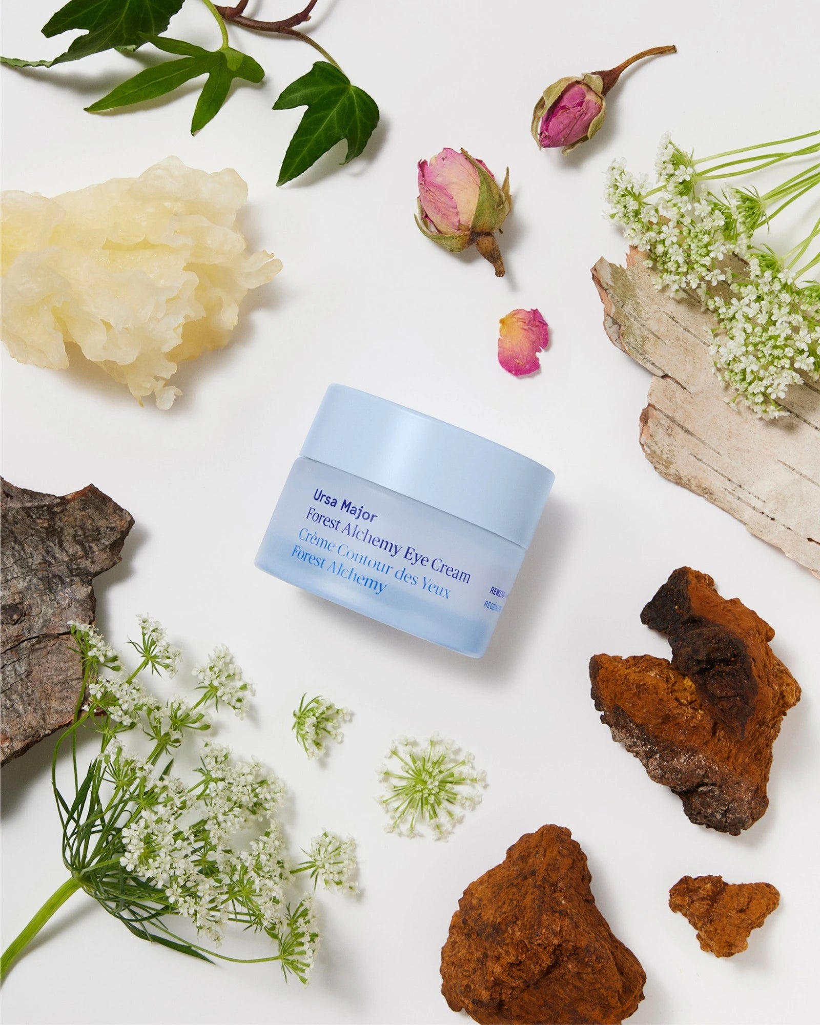 Forest Alchemy Eye Cream