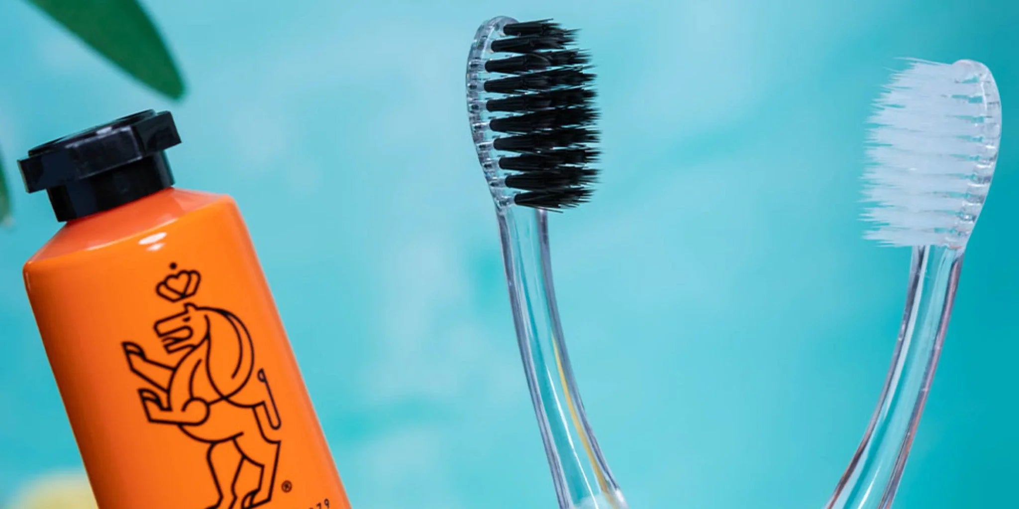 Dental Accessories & Tools - Smart