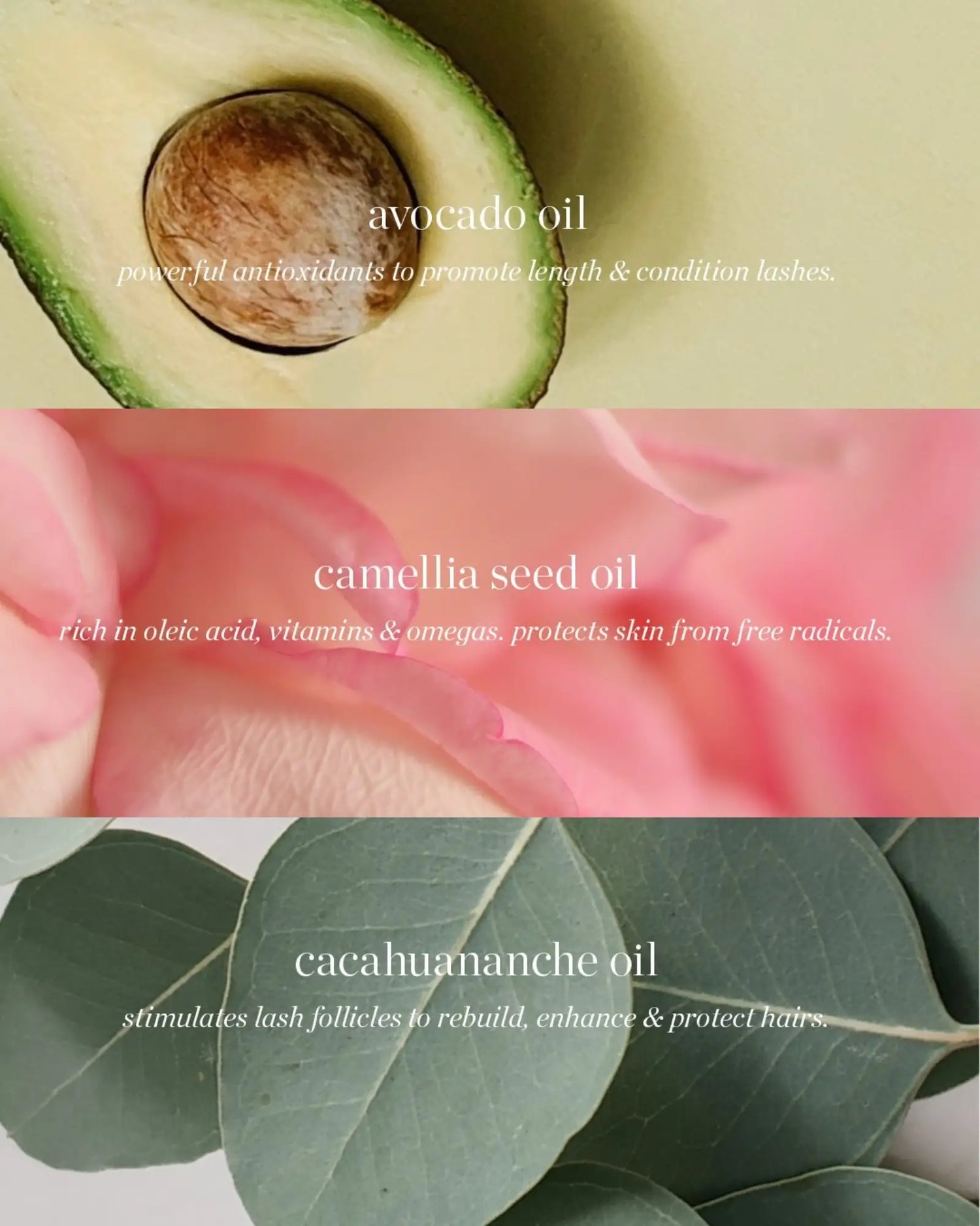 Avocado Waterproof Mascara