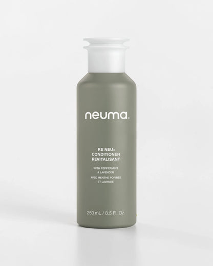 RE NEU® 净化护发素