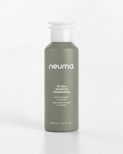 RE NEU® 净化洗发水