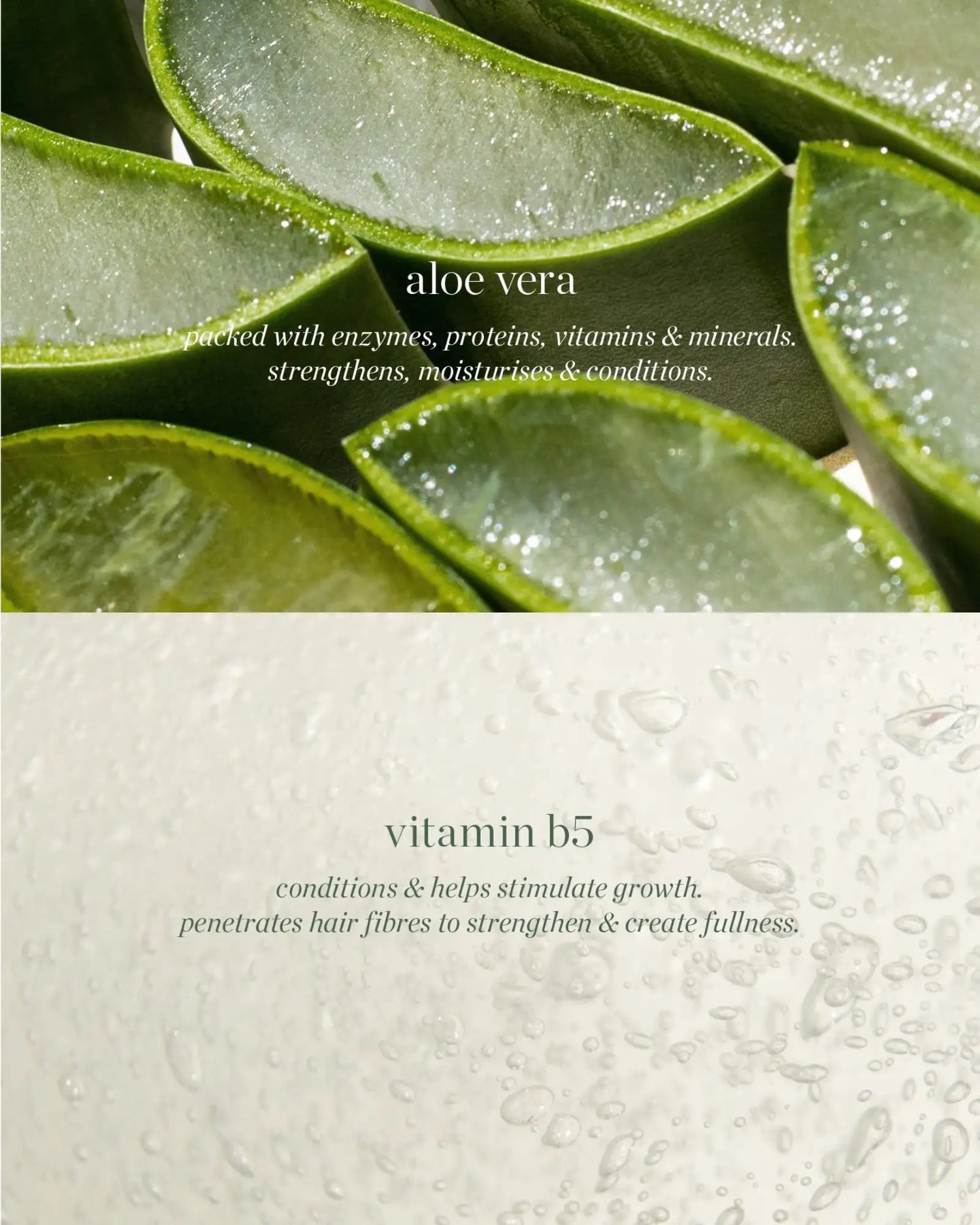 Aloe Gel Lash &amp; Brow Mascara – Clear