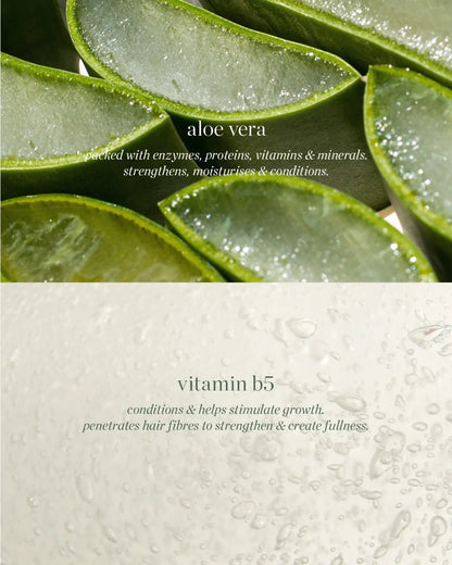 Aloe Gel Lash &amp; Brow Mascara – Clear