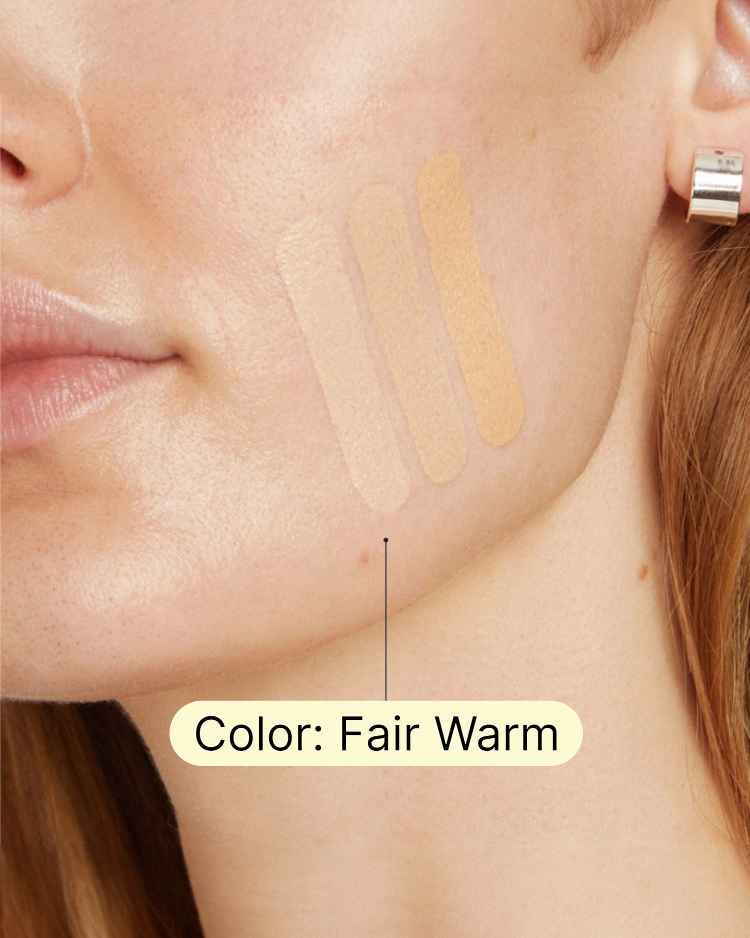 Fungdation - Mushroom Foundation