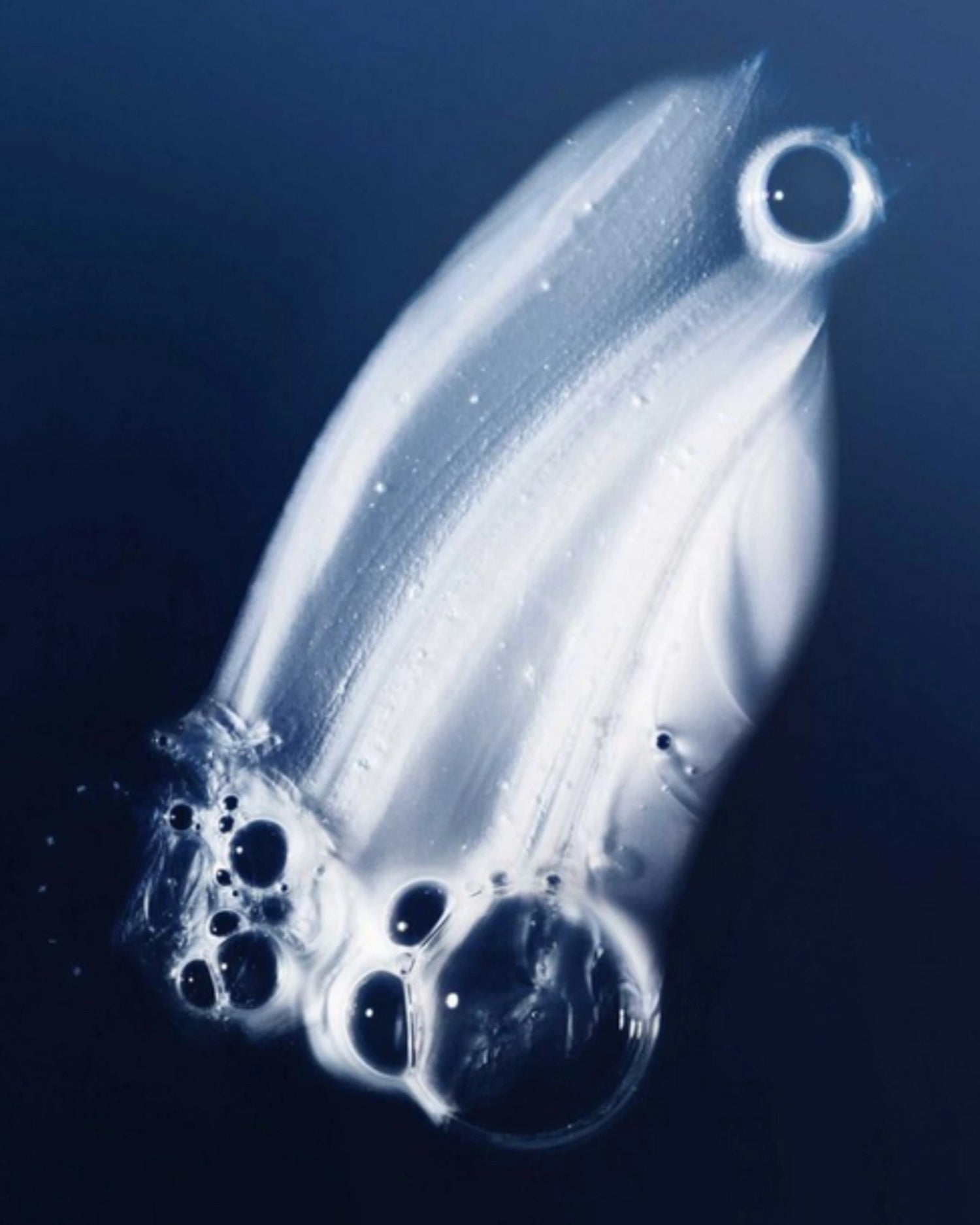 Perfect Hair Day™ Shampoo