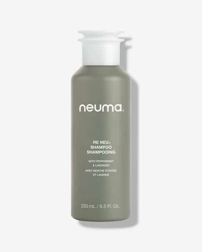 RE NEU® 净化洗发水