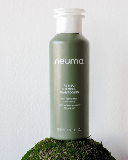 RE NEU® 净化洗发水