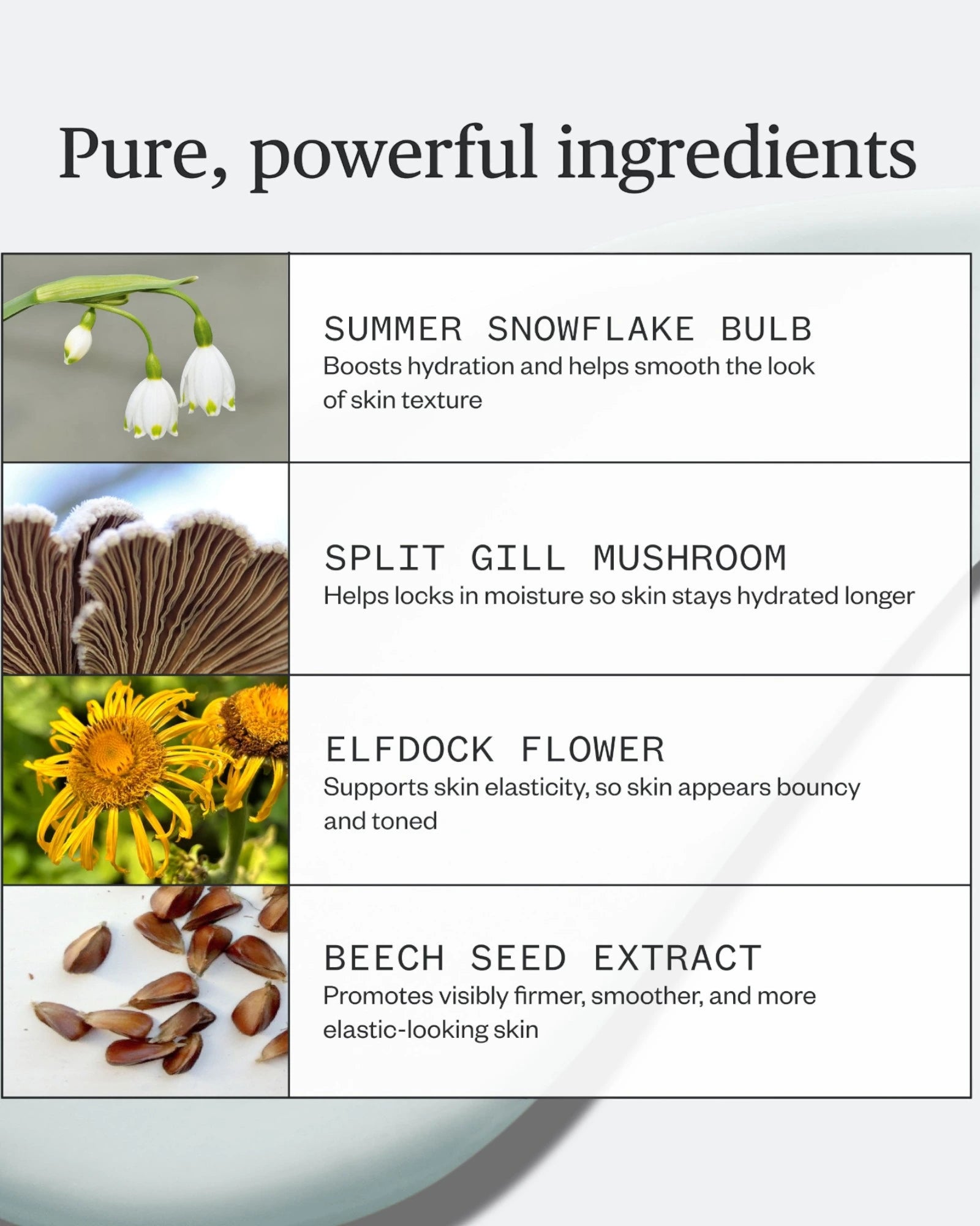 Vital Spring Hydration Mask