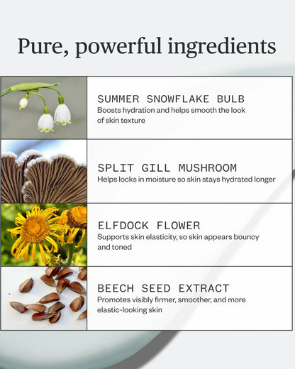 Vital Spring Hydration Mask